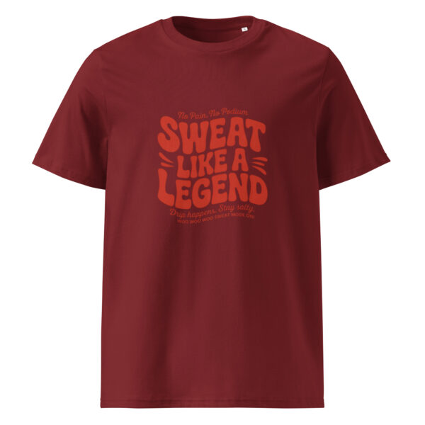 unisex-organic-cotton-t-shirt-burgundy-front-68a5fdcb3e6cc.jpg Unisex organic cotton t-shirt