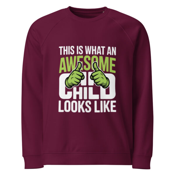 unisex-organic-raglan-sweatshirt-burgundy-front-68dc0fa88435e.jpg Unisex organic raglan sweatshirt