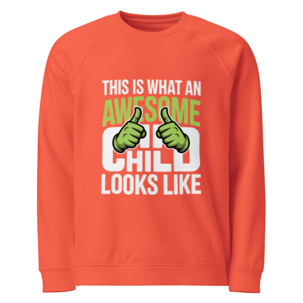 unisex-organic-raglan-sweatshirt-burnt-orange-front-68dc0fa8843ec.jpg Unisex organic raglan sweatshirt